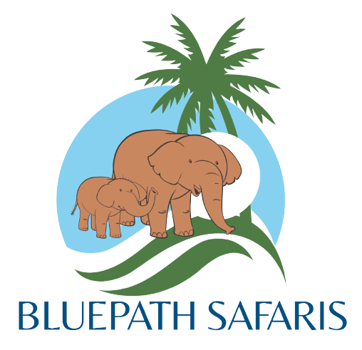 Bluepath Safaris